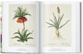  Зображення Redout‚. The Book of Flowers. 40th Ed.  / Редут. Книга квітів. 40-е вид. /   publishing house Taschen 