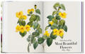  Зображення Redout‚. The Book of Flowers. 40th Ed.  / Редут. Книга квітів. 40-е вид. /   publishing house Taschen 