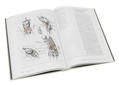 Изображение Образ человека. Учебник и практическое руководство по пластической анатомии для художников