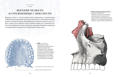  Зображення Анатомия. С иллюстрациями из классической «Анатомии Грея» 