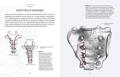  Зображення Анатомия. С иллюстрациями из классической «Анатомии Грея» 