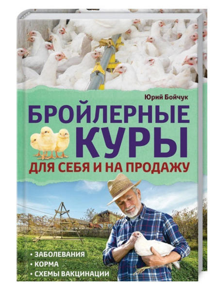  Зображення Бройлерные куры. Для себя и на продажу 