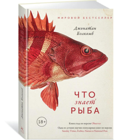 Что знает рыба. Внутренний мир наших подводных собратьев