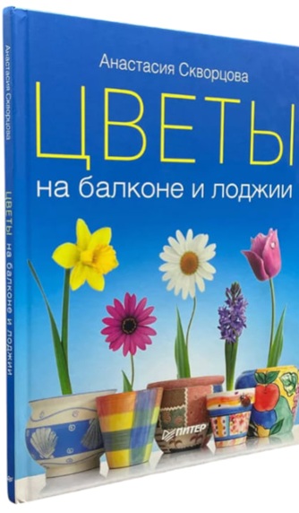 Цветы на балконе и лоджии
